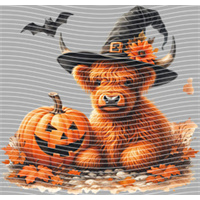 Halloween-WS 5707